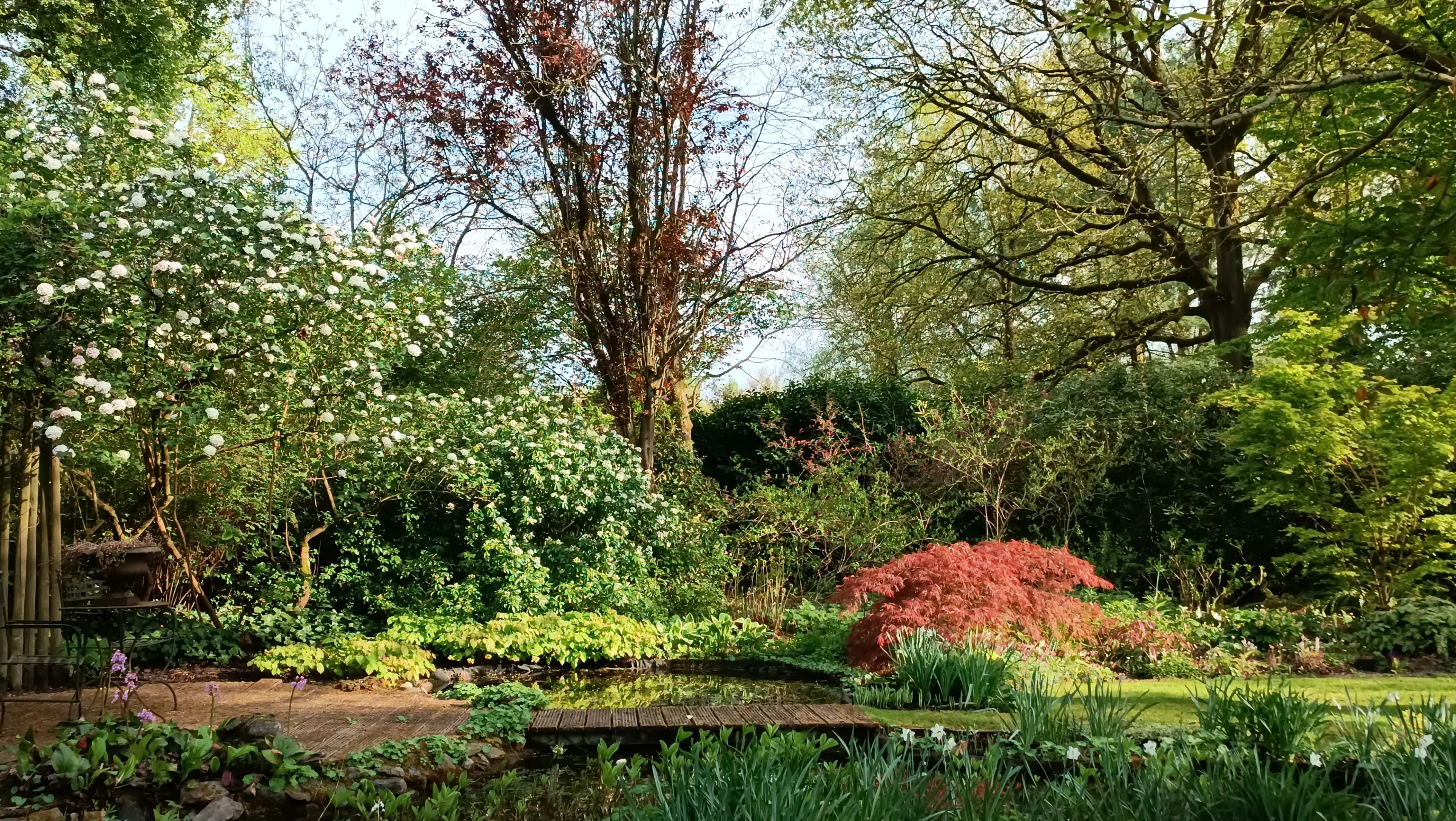 Achtergrond header